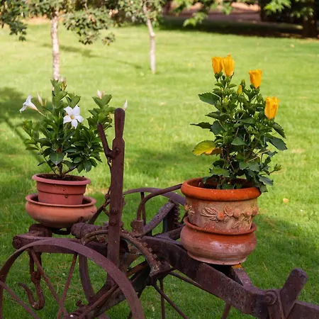 ファームステイ Capracotta - Luna Montemassi