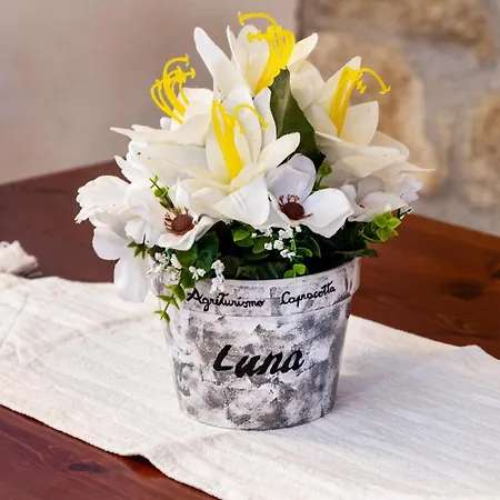 Capracotta - Luna ファームステイ Montemassi